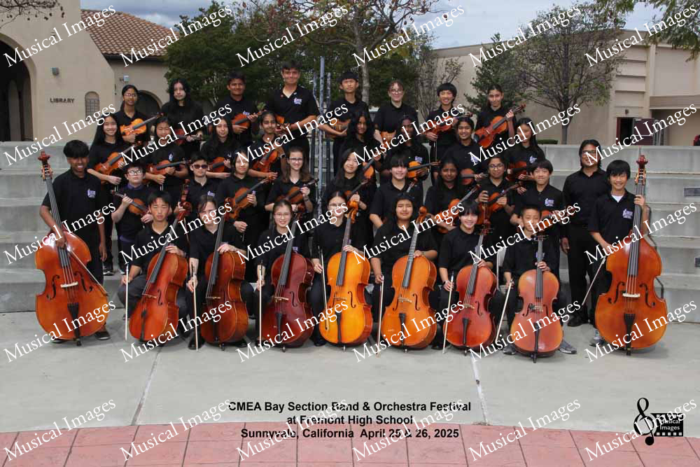 Musical Images
